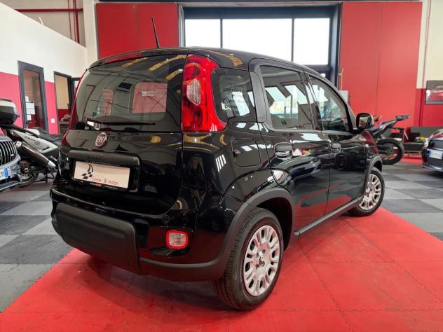 FIAT Panda 1.0 FireFly 70cv S&S Hybrid Pandina - Foto 2