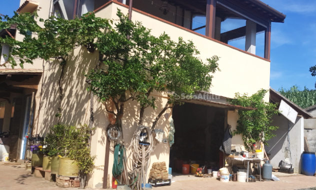 Trilocale in affitto a Rosignano Marittimo - Foto 11