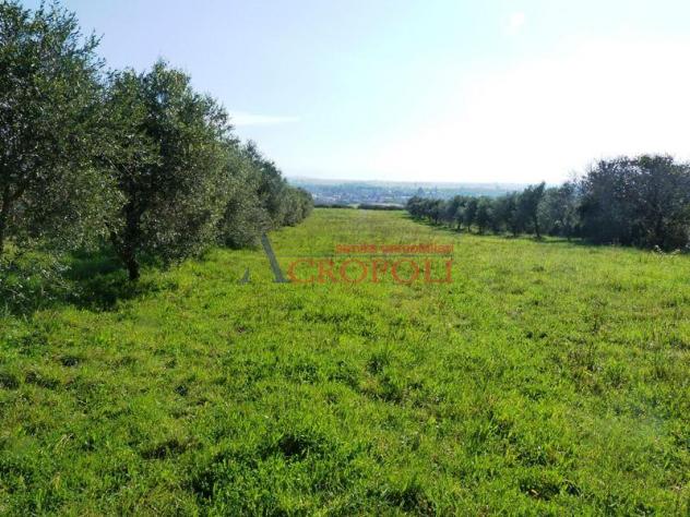 Terreno Edificabile - Rif. 2489 - Foto 7