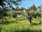 Casale in vendita a Castelnuovo Magra