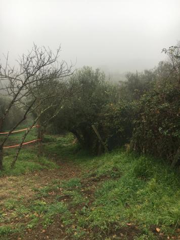 Agricolo in vendita a Sacrofano - Foto 4