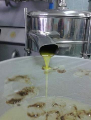 Olio extra vergine di oliva - Foto 7