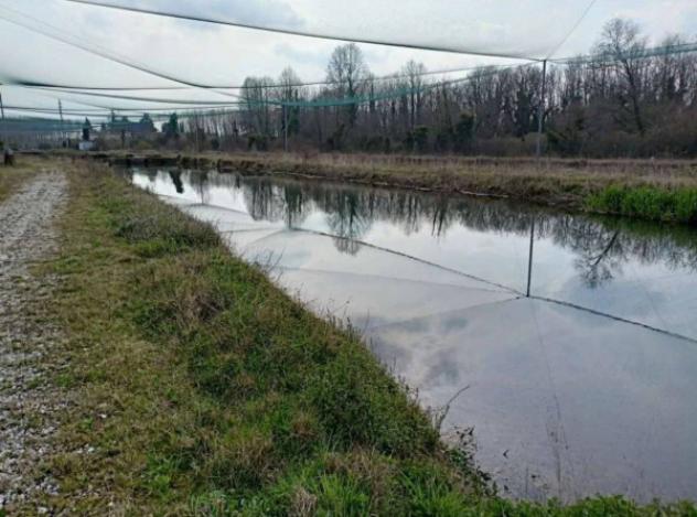 Immobile in asta di 999 m² in vendita a Treviso - Foto 8