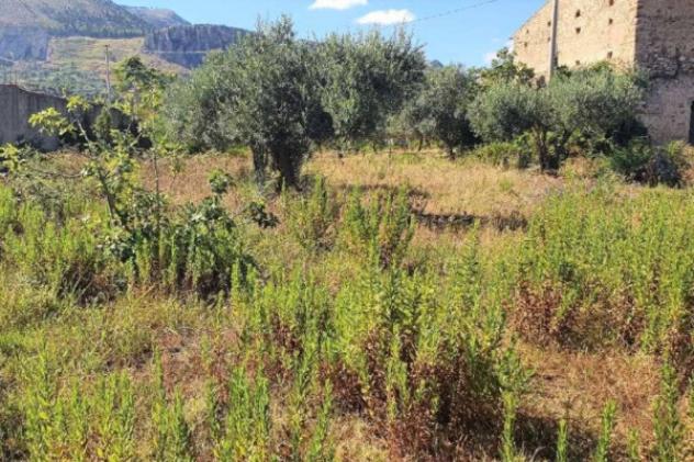 Immobile in asta di 4143 m² in vendita a Borgetto - Foto 2