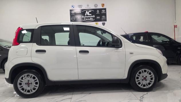 Fiat Panda 1.0 FireFly S&S Hybrid - Foto 5