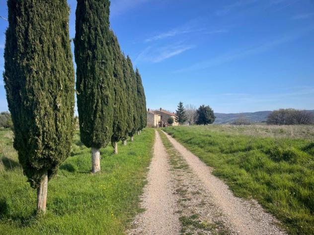 Casale in vendita a Asciano 1455 mq Rif: 1324714 - Foto 6