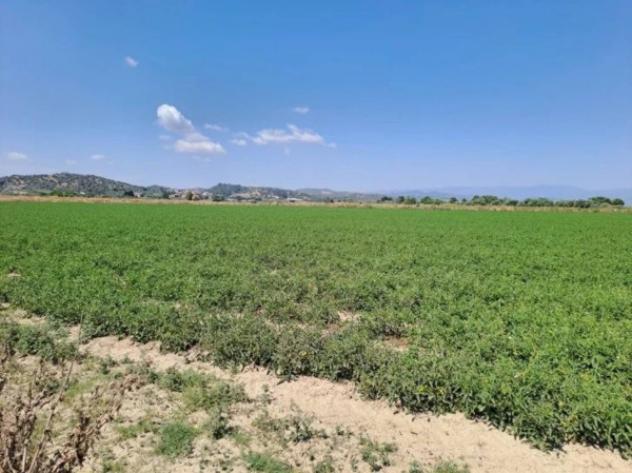 Immobile in asta di 19410 m² in vendita a Crotone - Foto 7