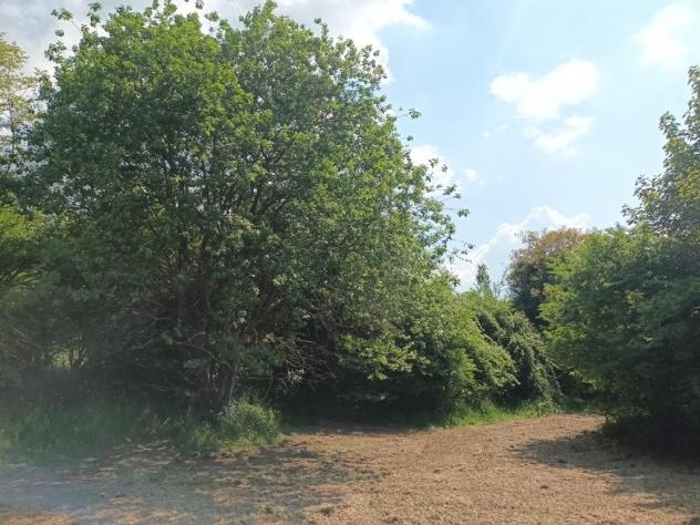 Vicoforte (CN), terreno edificabile - Foto 6