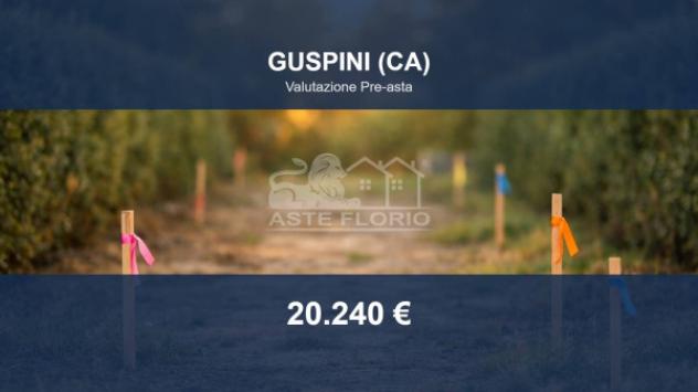 Immobile in asta di 450 m² in vendita a Guspini