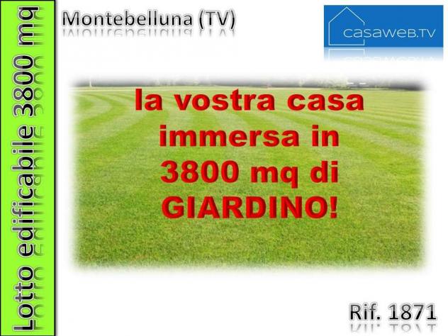 1871 - Terreno edif. 3800mq Montebelluna (TV) Rif. 1871 - Foto 5