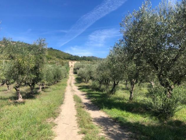 Agricolo in Via Frascinelle - Foto 8