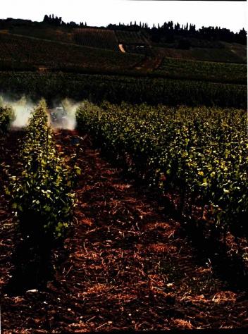 Terreno in vendita a Castelvetrano - Foto 4