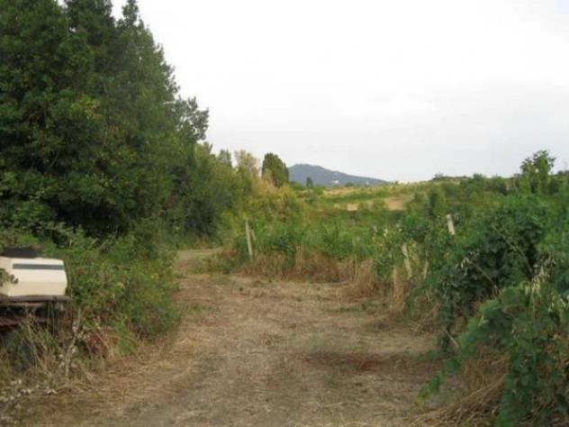 Immobile in asta di 151463 m² in vendita a Grottaferrata - Foto 10
