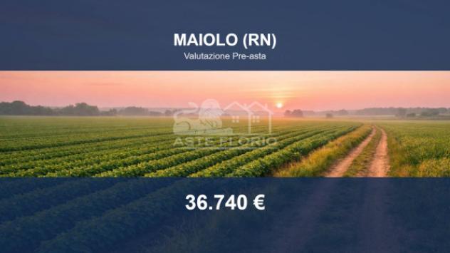 Immobile in asta di 42260 m² in vendita a Maiolo