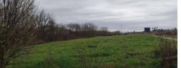 Immobile in asta di 17151 m² in vendita a Siena - Foto 2