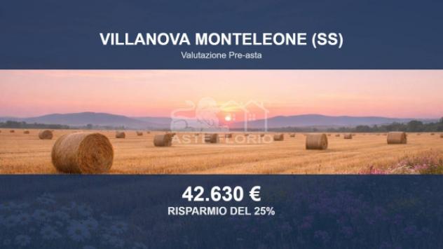 Immobile in asta di 84072 m² in vendita a Villanova Monteleone