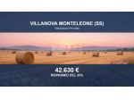 Immobile in asta di 84072 m² in vendita a Villanova Monteleone
