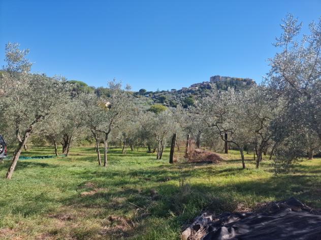 Singola in vendita a Lugnano in Teverina - Foto 9
