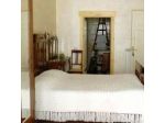 B&B Animali Selvaggi