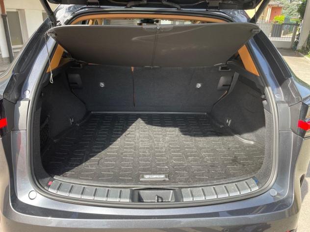 Lexus NX Plug-in Luxury 4WD - Foto 6