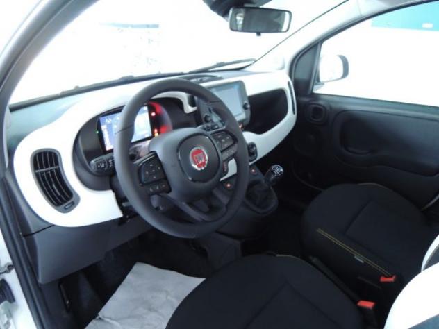 FIAT Panda Cross 1.0 FireFly Hybrid rif. 23388017 - Foto 6