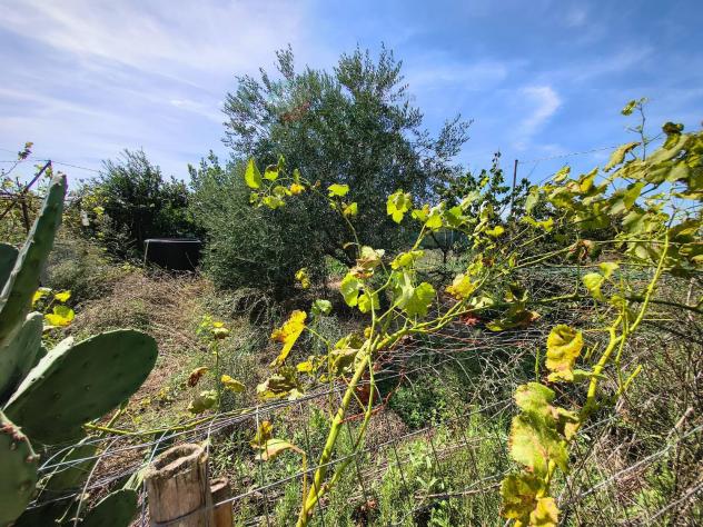 Terreno Agricolo - San Giovanni in Marignano . Rif.: Terrasgm10 - Foto 14
