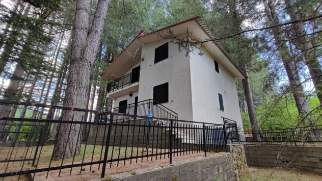 Casa vacanze immersa nella Sila Trepido’ - Foto 4
