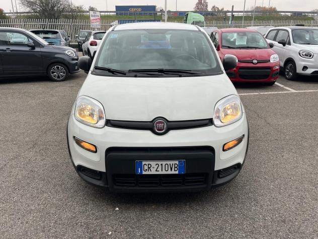 FIAT Panda Panda 1.0 FireFly S&S Hybrid - Foto 2
