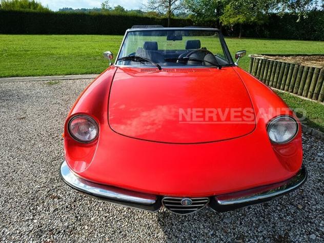 1981 Alfa Romeo Spider Duetto VELOCE 2000 Carburatori ASI CRS - Foto 3