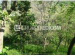 Terreno in vendita a Villongo - Rif. 3558914