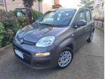 FIAT Panda 1.0 FireFly S&S Hybrid rif. 24019963