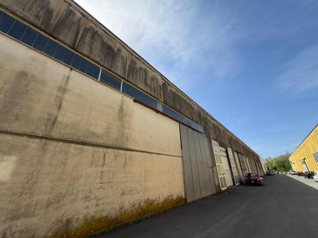 Industriale/Artigianale in vendita a Sarzana - Foto 11