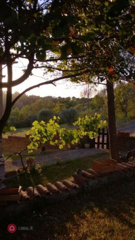 Rustico/Casale di 250mq in maglianese sp54 a Calvi dell'Umbria