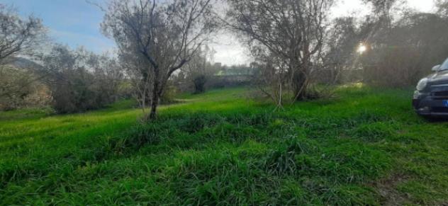 Immobile in asta di 2030 m² in vendita a Acquasparta - Foto 5