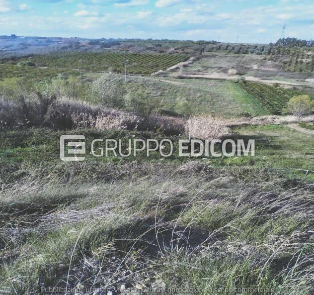 Terreno di 35921 mq in vendita a Montalbano Jonico - Rif. 4551657