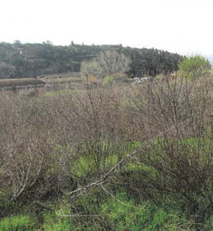 Immobile in asta di 6 m² in vendita a Prato - Foto 7