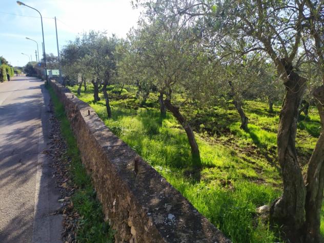 SASSARI LOCALITA' LA LANDRIGGA - Foto 6