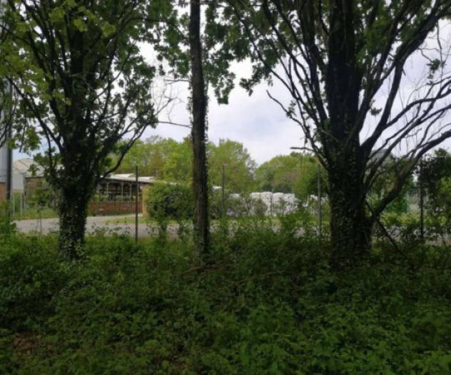 Immobile in asta di 34378 m² in vendita a Treviso - Foto 7