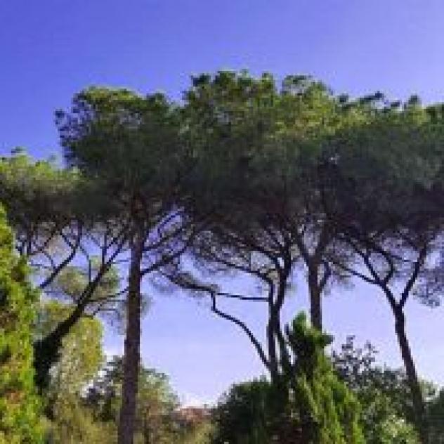 B&B Ombrantica - Foto 4