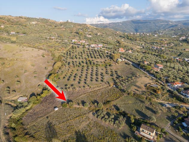 Agricolo in Via Alberico Guariglia - Foto 4