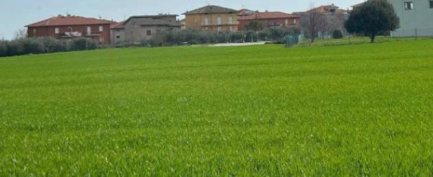 Immobile in asta di 2440 m² in vendita a Cingoli - Foto 3