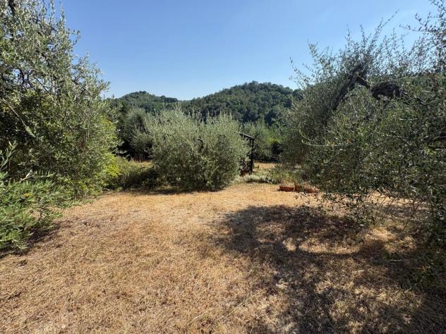 Terreno agricolo in vendita a Montecastello - Pontedera 5110 mq Rif: 1425459 - Foto 8