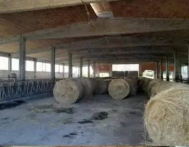 Immobile in asta di 1500 m² in vendita a Malagnino - Foto 11