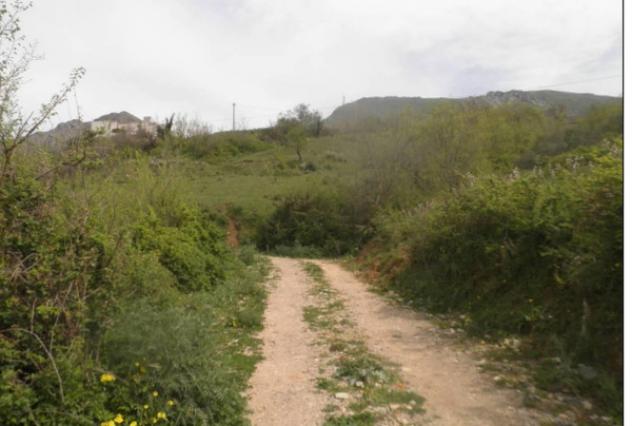 Immobile in asta di 1342 m² in vendita a Baucina - Foto 4