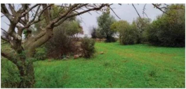 Immobile in asta di 2900 m² in vendita a Carlentini - Foto 4