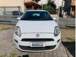 FIAT Punto 4ª serie Punto 1.2 8V 5 porte Street
