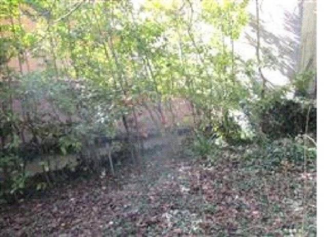 Immobile in asta di 191 m² con più di 5 locali in vendita a Carpegna - Foto 3