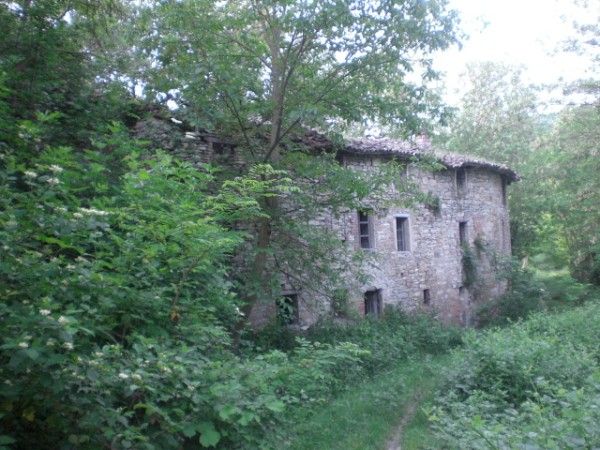 Rustico ex mulino in sassi vic.ze ruscello con terreno 3 ettari - Foto 6