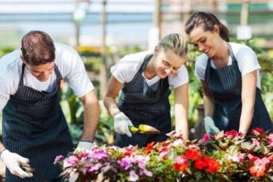 Corso per Giardiniere - Foto 3