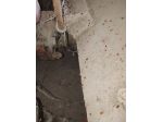Fresa per motocoltivatrice 14 CV